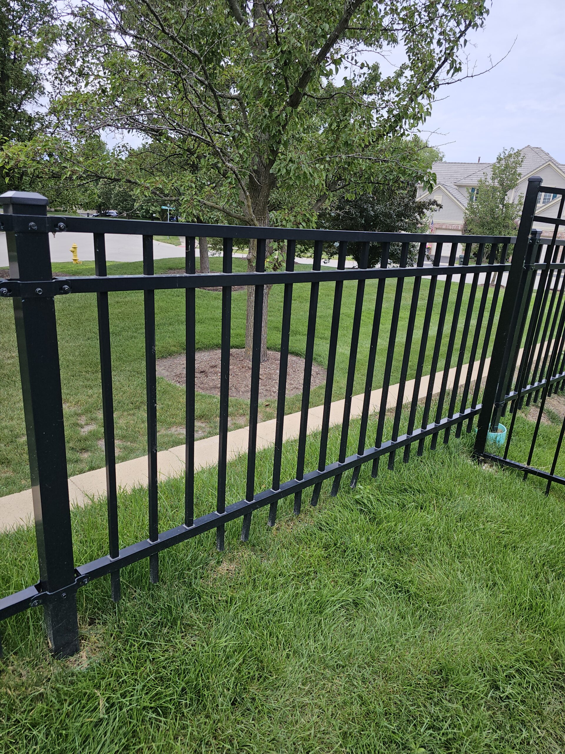 Black aluminum fence beside a lawn.